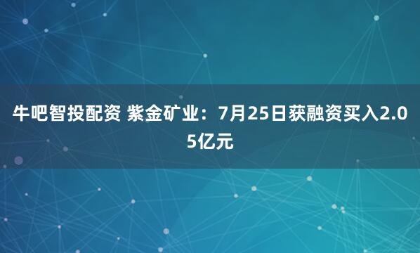 牛吧智投配资 紫金矿业：7月25日获融资买入2.05亿元