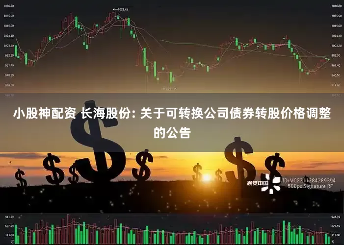 小股神配资 长海股份: 关于可转换公司债券转股价格调整的公告