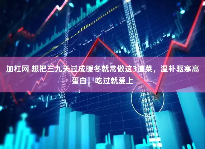 加杠网 想把三九天过成暖冬就常做这3道菜，温补驱寒高蛋白，吃过就爱上