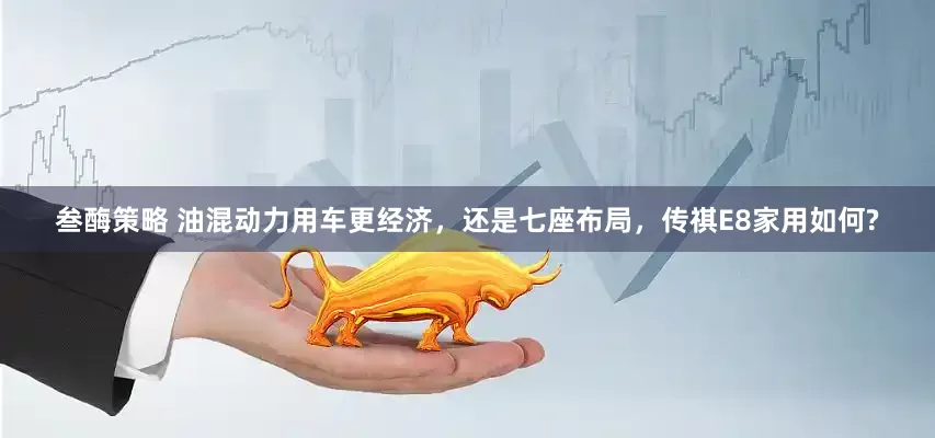 叁酶策略 油混动力用车更经济，还是七座布局，传祺E8家用如何?