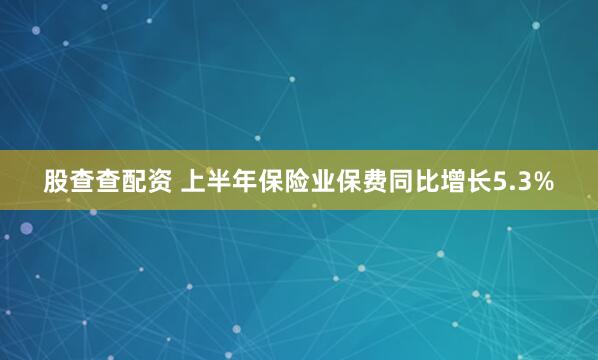 股查查配资 上半年保险业保费同比增长5.3%
